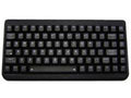 TG3 KBA-BL82-5RBUVS Keyboard; Rugged 82 Key Keyboard W/ Backlighting. Straight Cord and USB