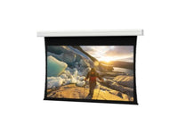 Da-Lite 36919F Tensioned Advantage Deluxe 275" Diag. HD Progressive Contrast 1.1 - Surface, Roller & Motor Assembly Only (installs into matching B case)