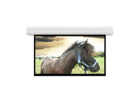 Da-Lite 36979L Advantage 295" Diag. 177" x 236" Matte White Electric Projection Screen