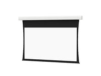 Da-Lite 37040FL Tensioned Advantage 275" Diag. HD Progressive Contrast 1.1 - Surface, Roller & Motor Assembly Only (installs into matching B case)