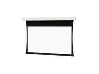 Da-Lite 84402FLS Tensioned Advantage 133" Diag. Da-Mat - Surface, Roller & Motor Assembly Only (installs into matching B case)