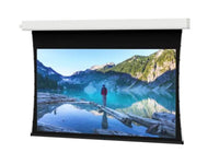 Da-Lite 94234BLS Tensioned Advantage 110" Diag. HD Progressive Contrast 1.1 Electric Screen - Case/Housing Only (order with matching F surface assembly)