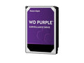 InVid IHDD-10TBPRO 10 TB HARD Drive