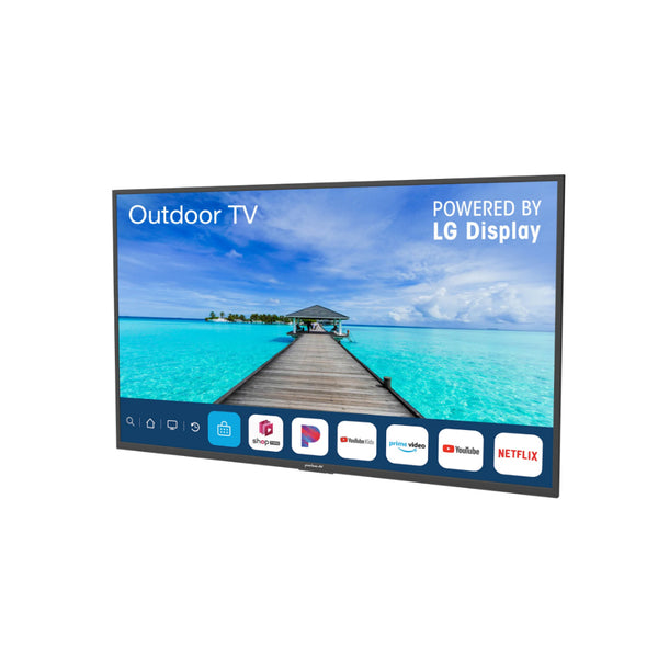 Peerless -AV NT553 Neptune™ 55'' Partial Sun Outdoor Smart TV