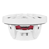 NXL 6.5" 2-Way Coaxial Marine Speaker with LED RGB Lights | 100W RMS 4-Ohm