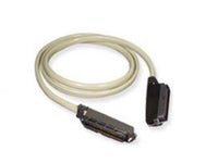 Epygi QX-RJ21-0000 RJ21 Female-to-Female 15 ft Cable
