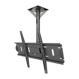 SunBrite SB-CM-T-L-BL Ceiling Mount for 