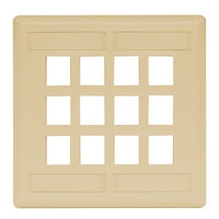 Hubbell IFP212EI Wall Plate, Flush 2-Gang 12-Port, Electric Ivory
