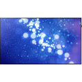 Samsung DM75E 75" 1080P Direct-Lit LED Display, 75", Black