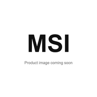 MSI