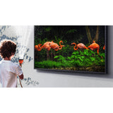 Samsung QN55LST7T 55" The Terrace Outdoor 4K UHD HDR QLED Smart TV