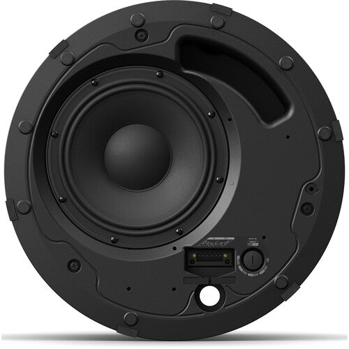 Bose Professional 829380-0110 DesignMax DM8C-Subwoofer (Black)