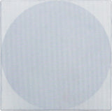 EARTHQUAKE ECS6.5  EDGELESS 6.5" IN-CEILING SPEAKERS 12DB XOVER +/- 3DB SWITCHES, ROUND GRILLES