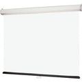 Draper 206012 Luma 2 Manual Front Projection Screen (12x12') 203" Diagonal