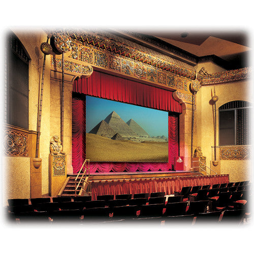 Draper 114232 Paragon/Series E Motorized Projection Screen (207.5 x 332")