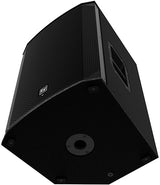 Electro-Voice EKX-15 15-inch Passive Speaker