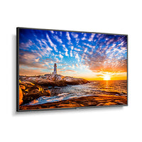 NEC P435 43" Wide Color Gamut Ultra High Definition Professional Display